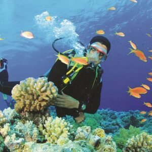 Tüplü Dalış Turu - Kemer Antalya'da denizaltı keşfi, scuba diving deneyimi