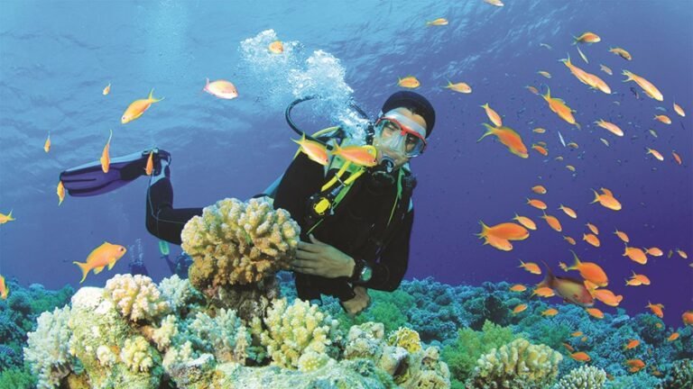 Tüplü Dalış Deneyimi Kemer - İki Dalış - Kemer